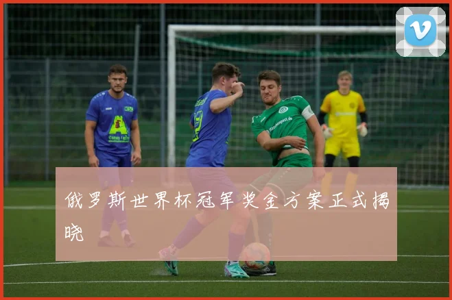 俄罗斯世界杯冠军奖金方案正式揭晓