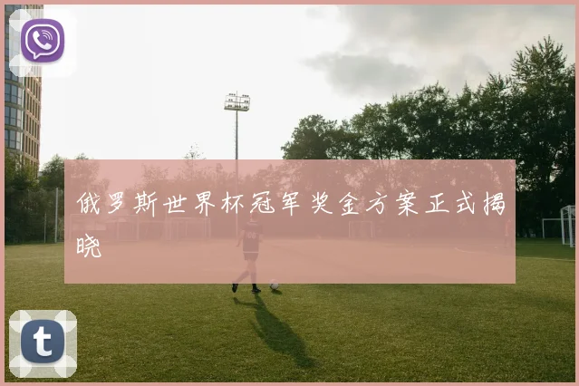 俄罗斯世界杯冠军奖金方案正式揭晓