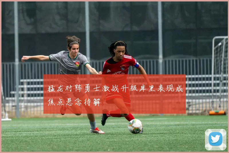 猛龙对阵勇士激战升级库里表现成焦点悬念待解