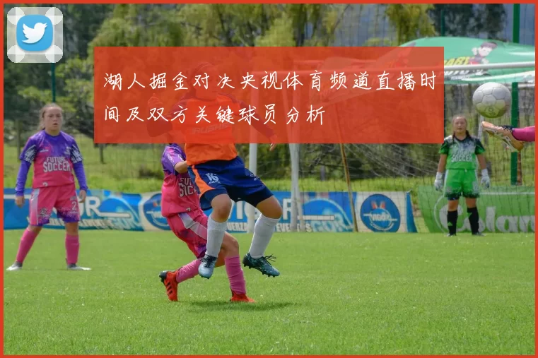 湖人掘金对决央视体育频道直播时间及双方关键球员分析